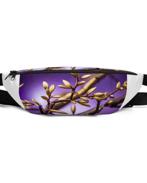 OneGodianology and its five Branches: Historical 01 – Fanny Pack